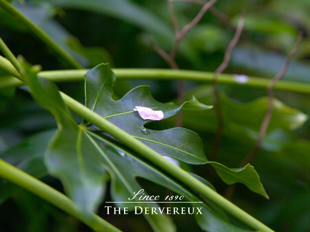 The Devereux Boutique Hotel Окленд Экстерьер фото