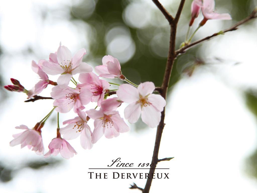 The Devereux Boutique Hotel Окленд Экстерьер фото